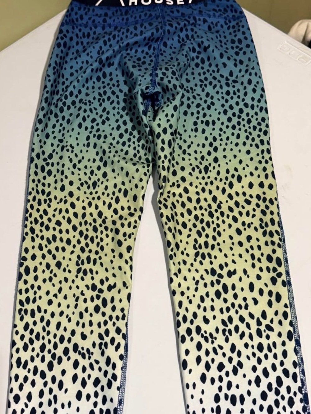 Ombre Blue-Green Animal Print Leggings
